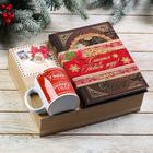Новогодний подарочный набор, родословная книга и кружка «Семейного счастья», 28 х 24 х 11 см - фото 20988543