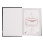 Родословная книга новогодняя «Золотой шик», 56 листов, 17×2×23.7 см - Фото 6