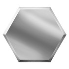 Зеркальная серебряная матовая плитка «Сота» с фацетом 10 мм, 200х173 мм - фото 298246627