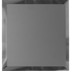 Квадратная зеркальная графитовая матова плитка с фацетом 10 мм, 250х250 мм - фото 298246642