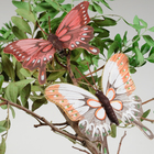 Бабочка для декора и флористики, на прищепке, пластиковая, микс, 1 шт., 10 см - фото 8890601