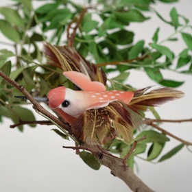 Птички для декора и флористики, на прищепке, МИКС, пластиковая, набор 12 шт., 8?8 см (комплект 12 шт)