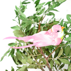 Птичка для декора и флористики, на прищепке, МИКС, пластиковая, 1шт., 8 х 8 см - Фото 3