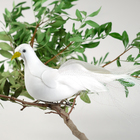 Птичка для декора и флористики, на прищепке, белая, пластиковая, 1шт., 8 х 8 см - фото 8890644