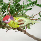 Птичка для декора и флористики, на прищепке, МИКС, пластиковая, 1шт., 8 х 8 см - Фото 1
