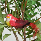 Птичка для декора и флористики, на прищепке, МИКС, пластиковая, 1шт., 8 х 8 см - Фото 4