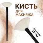 Кисть для макияжа «Premium Brush», веерная, в чехле, 20 см, цвет чёрный - фото 12209452