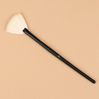 Кисть для макияжа «Premium Brush», веерная, в чехле, 20 см, цвет чёрный - Фото 1