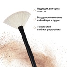 Кисть для макияжа «Premium Brush», веерная, в чехле, 20 см, цвет чёрный - Фото 3
