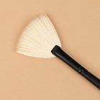 Кисть для макияжа «Premium Brush», веерная, в чехле, 20 см, цвет чёрный - Фото 4