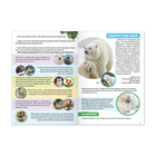 Мини-энциклопедия «Животные России», 20 стр. - Фото 2