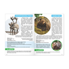 Мини-энциклопедия «Животные России», 20 стр. - Фото 3