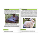 Мини-энциклопедия «Удивительные животные», 20 стр. - Фото 3