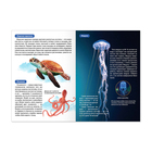 Мини-энциклопедия «Морские животные», 20 стр. - Фото 3