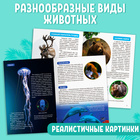Мини-энциклопедии набор «Мир животных», 6 шт. по 20 стр. - фото 8617178