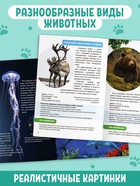 Мини - энциклопедии «Мир животных», набор 6 шт. по 20 стр. - Фото 3