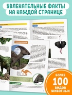 Мини - энциклопедии «Мир животных», набор 6 шт. по 20 стр. - Фото 4