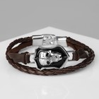 Браслет кожаный «Гордон» череп, коричневый с серебром, 21.5 см - Фото 3