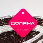 Корзинка для подачи Доляна «Овал. Шоко», 24.5×14×6 см - Фото 8