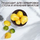 Корзинка для фруктов и хлеба Доляна «Шоко», 18×18×6 см - фото 6248387