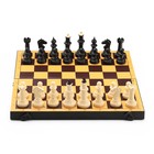 Шахматы обиходные 30 х 30 см, доска и фигуры пластик, король h-7.5 см, пешка h-4.2 см - Фото 2