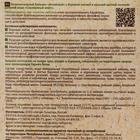 Бальзам «Алтайский» с боровой маткой и красной щеткой 100 мл - Фото 2