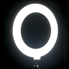 Светодиодная кольцевая лампа AKS-001, 6" (16 см), 5 Вт, 3 режима, работает от USB - Фото 6