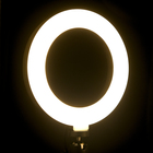 Светодиодная кольцевая лампа AKS-001, 6" (16 см), 5 Вт, 3 режима, работает от USB - Фото 7