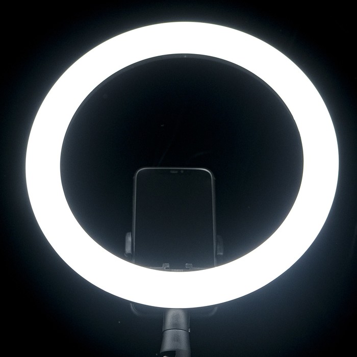 Светодиодная кольцевая лампа LuazON CB-32, 10" (26 см), 10 Вт, 3 режима, работает от USB - фото 1887912211
