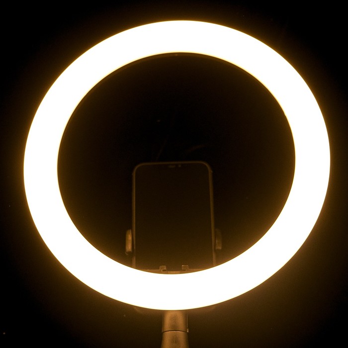 Светодиодная кольцевая лампа LuazON CB-32, 10" (26 см), 10 Вт, 3 режима, работает от USB - фото 1887912213