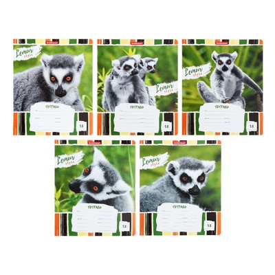Тетрадь 18 листов в линейку ErichKrause Lemur Style, обложка мелованный картон, блок офсет, МИКС