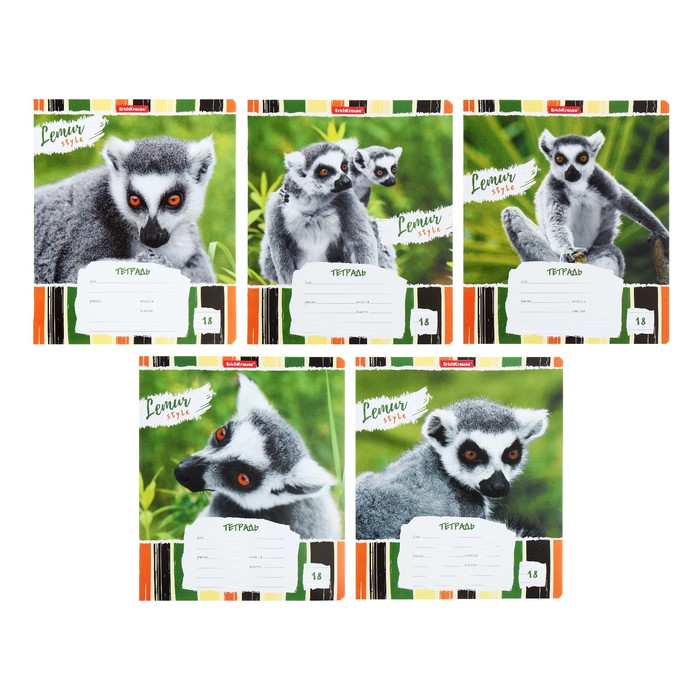 Тетрадь 18 листов в линейку ErichKrause Lemur Style, обложка мелованный картон, блок офсет, МИКС - фото 8893125