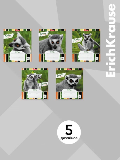 Тетрадь 18 листов в линейку, ErichKrause Lemur Style, МИКС