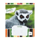 Тетрадь 18 листов в линейку ErichKrause Lemur Style, обложка мелованный картон, блок офсет, МИКС - Фото 3