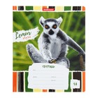Тетрадь 18 листов в линейку ErichKrause Lemur Style, обложка мелованный картон, блок офсет, МИКС - Фото 5