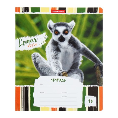 Тетрадь 18 листов в линейку, ErichKrause Lemur Style, МИКС