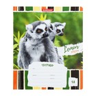 Тетрадь 18 листов в линейку ErichKrause Lemur Style, обложка мелованный картон, блок офсет, МИКС - Фото 6