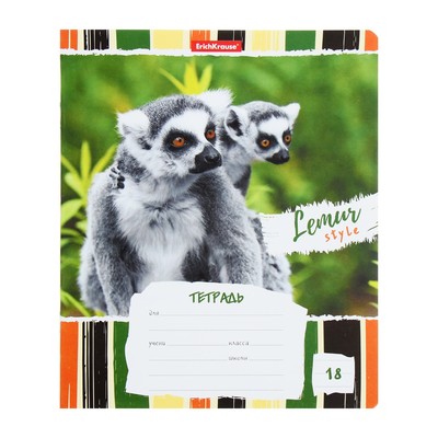 Тетрадь 18 листов в линейку, ErichKrause Lemur Style, МИКС