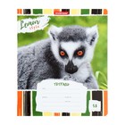 Тетрадь 18 листов в линейку ErichKrause Lemur Style, обложка мелованный картон, блок офсет, МИКС - Фото 7