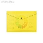 Папка-конверт на кнопке А4, 180 мкм, ErichKrause Glossy Neon, глянцевая, пластиковая, полупрозрачная, микс 4672868