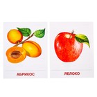 Демонстрационные картинки «Фрукты» 16 шт., 17.3×22 см 4657003