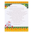 Письмо от Деда Мороза, глиттер, для мальчика, птички, новогодние украшения - Фото 2