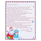 Письмо от Деда Мороза и Снегурочки, глиттер (комплект 10 шт) - фото 26518927