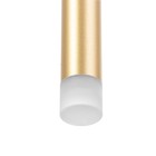 Светильник BayerLux "Аламо" 3Вт 4000К золотой 3х3х50-150 см - фото 23392592