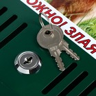 Ящик почтовый с замком, вертикальный, зелёный, картинка МИКС - Фото 7
