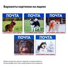 Ящик почтовый с замком, вертикальный, зелёный, картинка МИКС - Фото 8