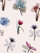 Слайдеры для ногтей «Цветочные мечты», разноцветные - Фото 6