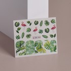 Слайдер - дизайн для ногтей «Tropical print», фасовка 6 шт, цвет зелёный/розовый - фото 318250037