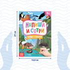 Книжка с маркером «Пиши-стирай. Найди и покажи», 12 стр. - Фото 2