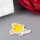 Чипборд для скрапбукинга "Цыплята - Счастливой Пасхи!" 10х10 см (комплект 10 шт) - фото 24069096